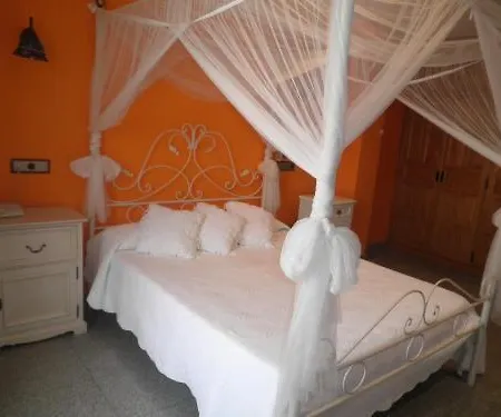 Vijanera 3*